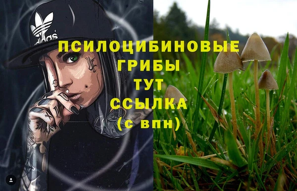 MDMA Premium VHQ Нея