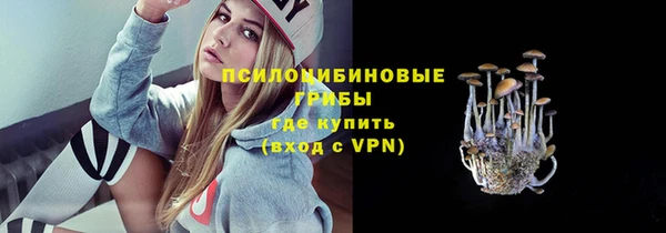 сатива Пролетарск